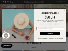 'brixton.com' screenshot