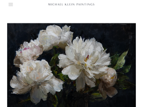 michaelkleinpaintings.com
