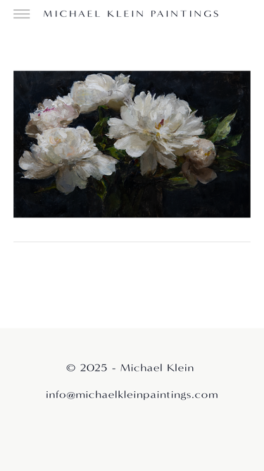 michaelkleinpaintings.com