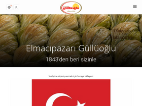 elmacipazarigulluoglu.com