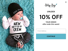 'bitsybugboutique.com' screenshot