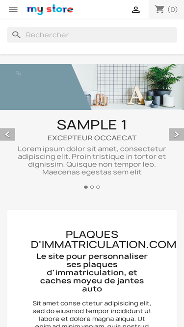 plaques-d-immatriculation.com