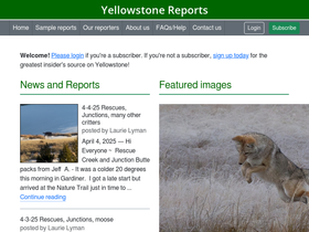 yellowstonereports.com