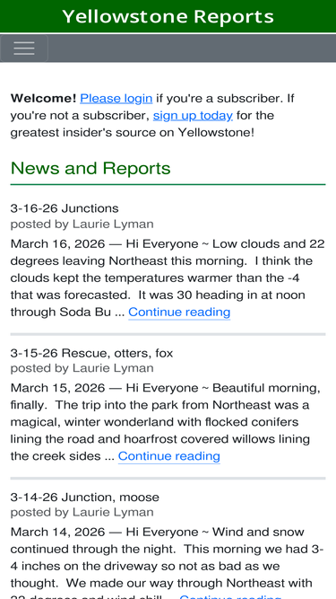 yellowstonereports.com