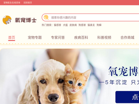 'isdpp.com' screenshot