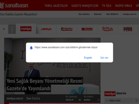 'sanalbasin.com' screenshot
