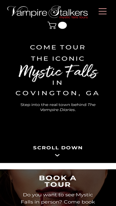 mysticfallstours.com