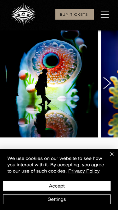 illusionaries.com