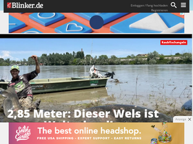'blinker.de' screenshot