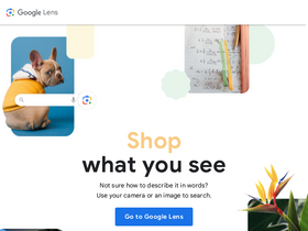 'lens.google' screenshot
