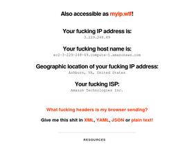 'wtfismyip.com' screenshot