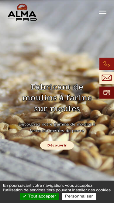 moulinsalmapro.com
