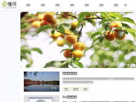 'idongde.com' screenshot