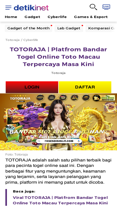 ancorafoundation.com