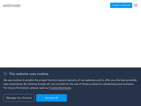 'seostreamline-souyoujingjian.webnode.page' screenshot