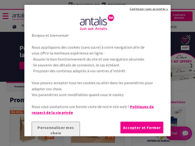 'antalis.fr' screenshot