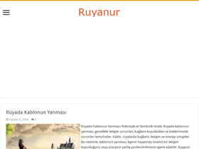 'ruyanur.com' screenshot