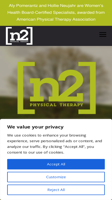 n2physicaltherapy.com