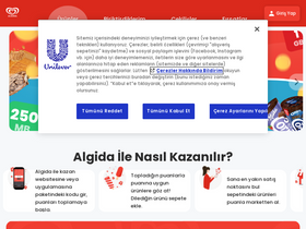 'algidailekazan.com' screenshot