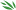 imbutofoundation.org