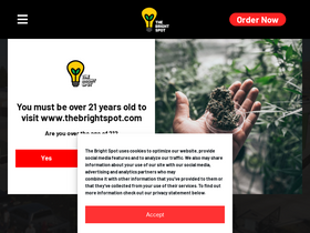 'thebrightspot.com' screenshot