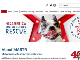 'adoptaboston.com' screenshot