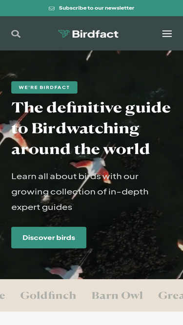 birdfact.com