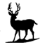 silverspurlodge.com