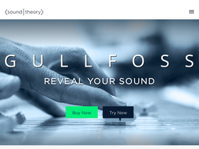 'soundtheory.com' screenshot