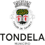 cm-tondela.pt
