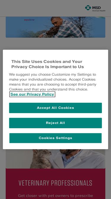 bravovets.com