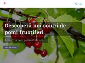 icdp.ro
