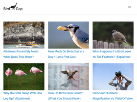 birdgap.com