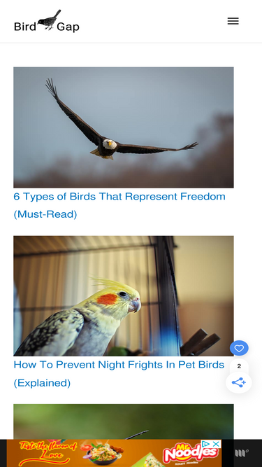 birdgap.com