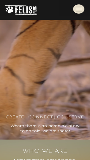 felis.in