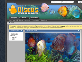 discusforums.com