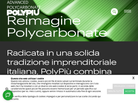 polypiu.it