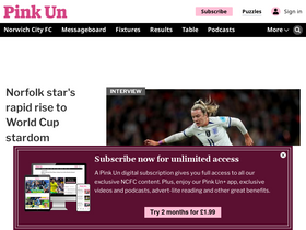 'pinkun.com' screenshot