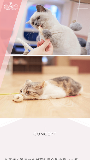 puchimarry.com