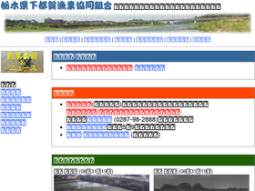 'shimotsuga-fc.org' screenshot