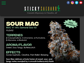 'stickysaguaro.com' screenshot