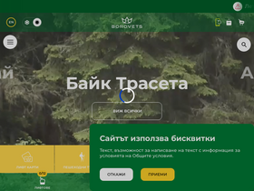 'borovets-bg.com' screenshot