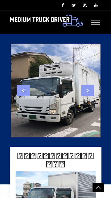 wingchuninteractive.com