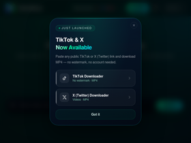 videodownloader.site