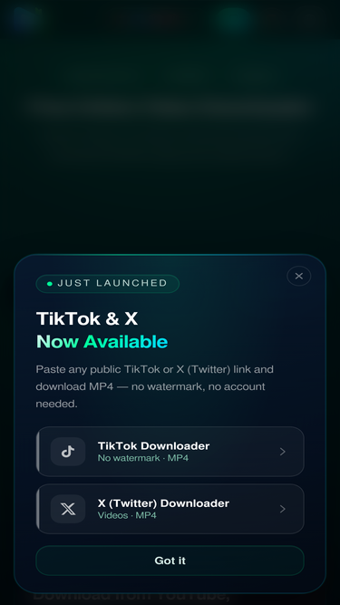 videodownloader.site