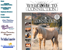 azhorseconnection.com