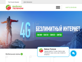 'vt.ru' screenshot