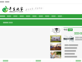 'ys991.com' screenshot