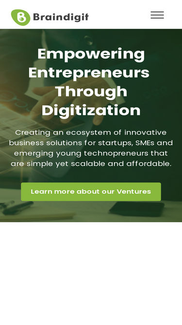 braindigit.com