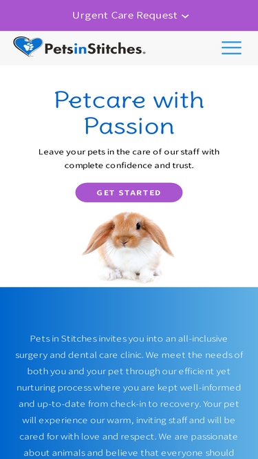 petsinstitches.com